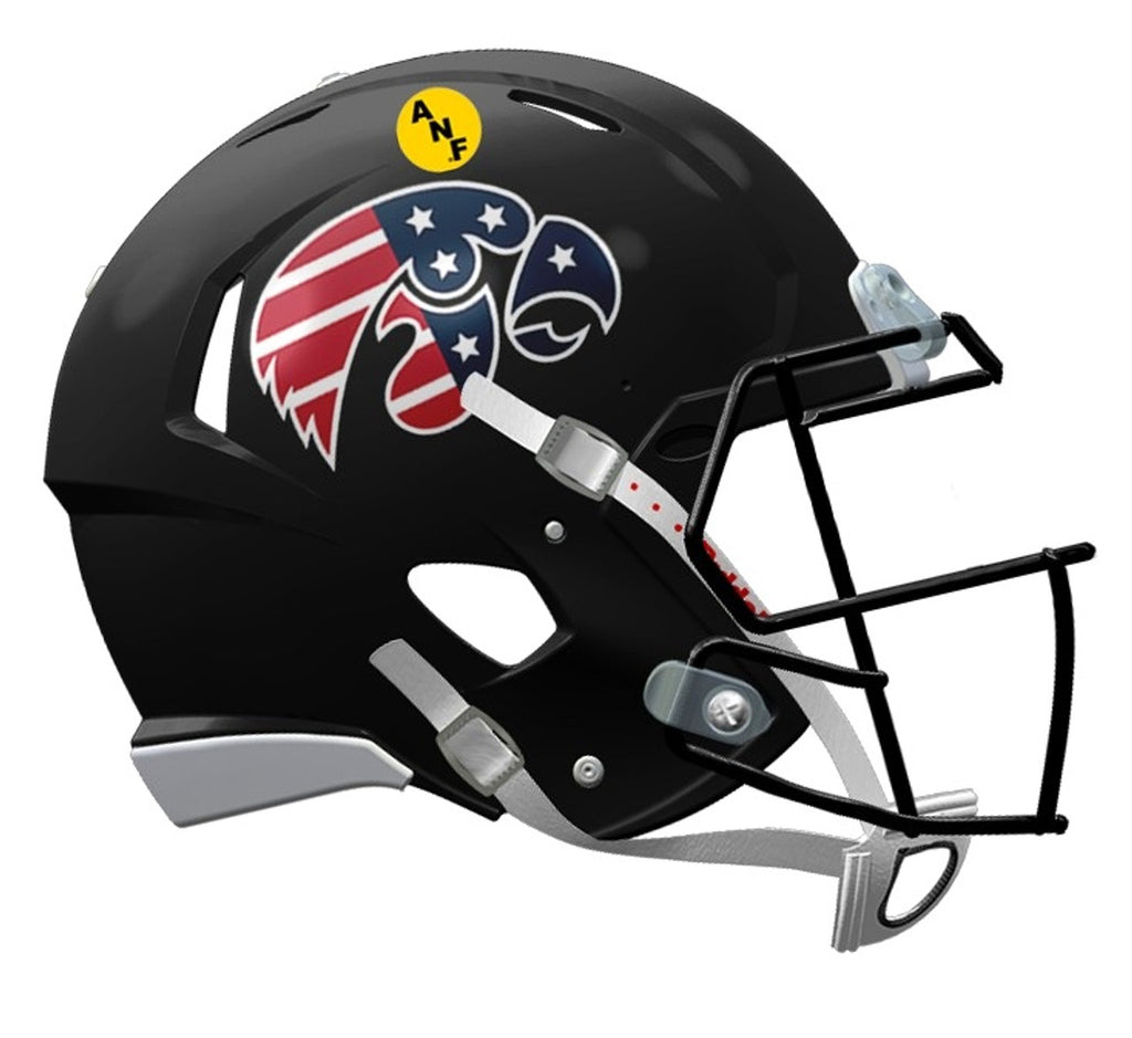 Iowa Hawkeyes Helmet Riddell Replica Mini Speed Style Stars and Stripes Design