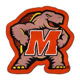 Maryland Terrapins Mascot Rug