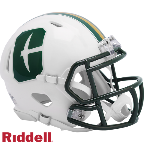 North Carolina Charlotte 49ers Helmet Riddell Replica Mini Speed Style