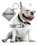 Ohio State Buckeyes Pet Collar Charm CO